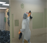 Mold Cleaning